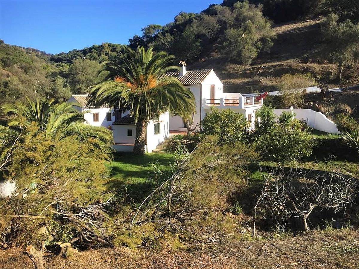 Casares