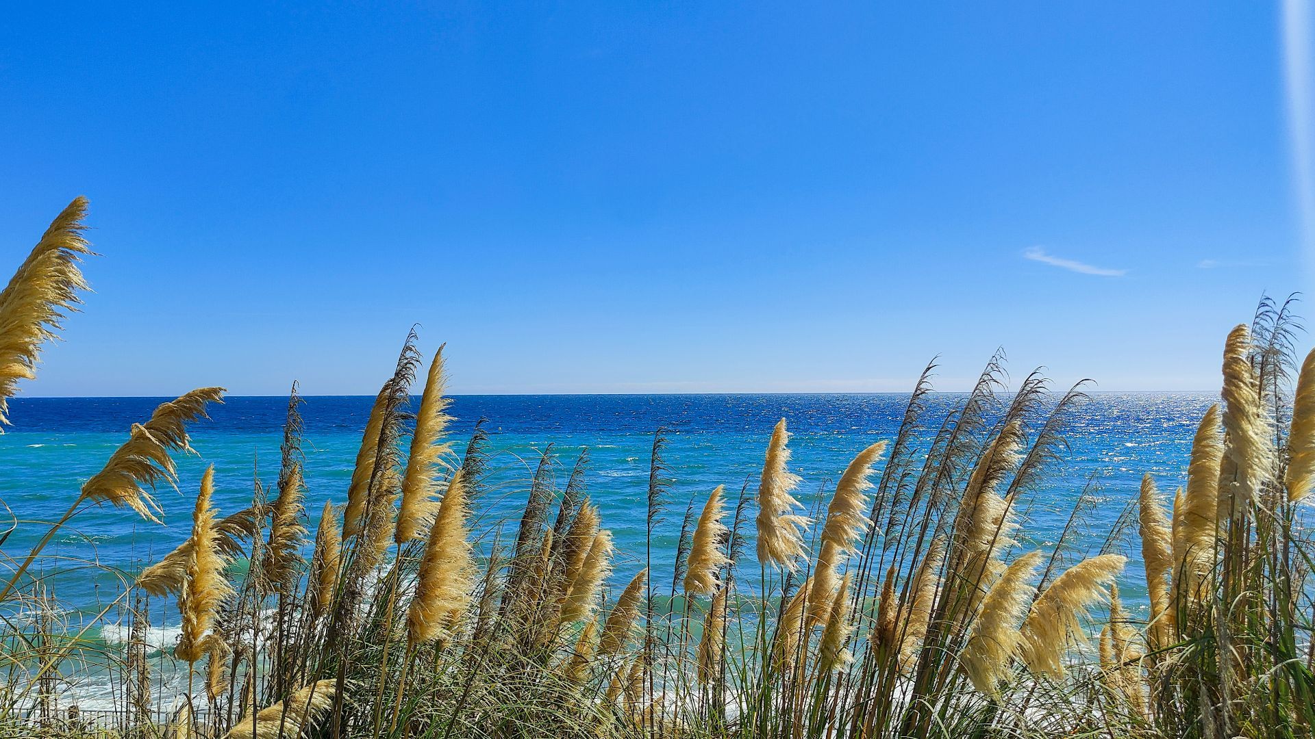 Milla de Oro, Marbella