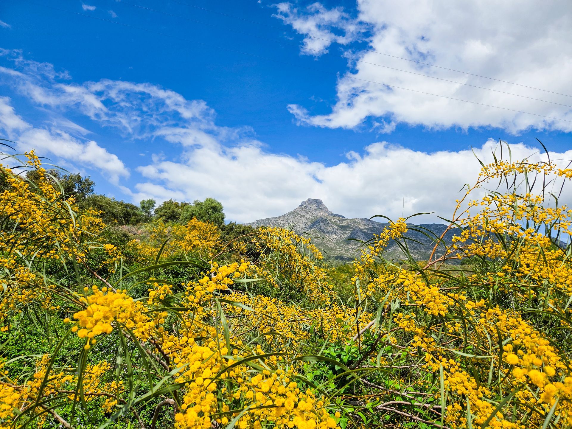 Milla de Oro, Marbella